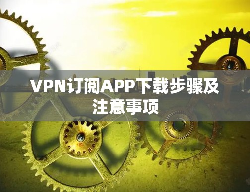 VPN订阅APP下载步骤及注意事项 VPN订阅APP下载步骤及注意事项