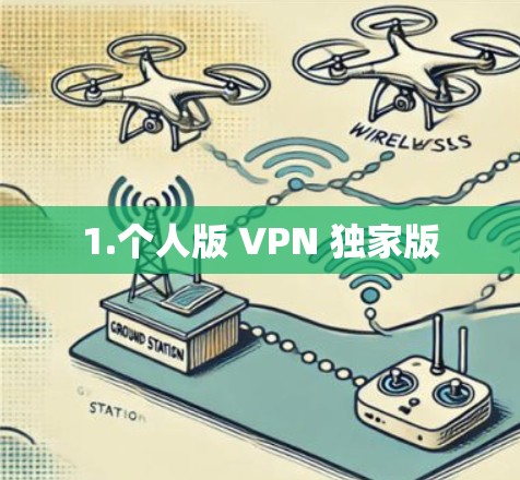1.个人版 VPN 独家版