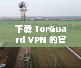 下载 TorGuard VPN 的官方软件 下载 TorGuard VPN 的官方软件