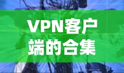 VPN客户端的合集通常包括多种主流的VPN服务,如腾讯、华为、美团、支付宝、奇虎云、腾讯云等。以下是几种常见的VPN客户端合集推荐 VPN客户端的合集通常包括多种主流的VPN服务,如腾讯、华为、美团、支付宝、奇虎云、腾讯云等。以下是几种常见的VPN客户端合集推荐