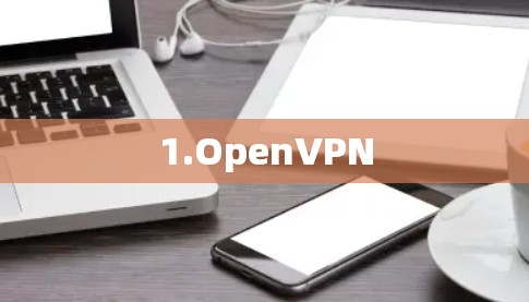 1.OpenVPN 1.OpenVPN