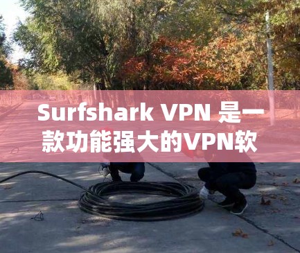 Surfshark VPN 是一款功能强大的VPN软件,适合个人用户和企业用户使用。以下是使用Surfshark VPN官方软件的步骤指南 Surfshark VPN 是一款功能强大的VPN软件,适合个人用户和企业用户使用。以下是使用Surfshark VPN官方软件的步骤指南