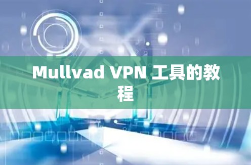 Mullvad VPN 工具的教程 Mullvad VPN 工具的教程