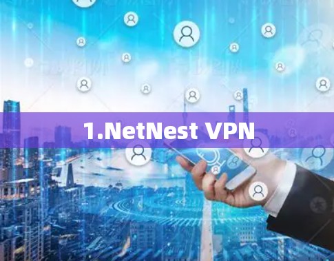 1.NetNest VPN 1.NetNest VPN
