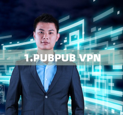 1.PUBPUB VPN