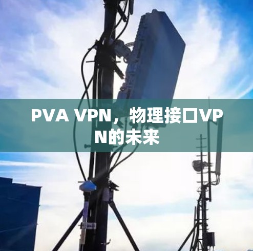 PVA VPN,物理接口VPN的未来 PVA VPN,物理接口VPN的未来