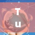 TunnelBear VPN,让网络连接更安全可靠 TunnelBear VPN,让网络连接更安全可靠