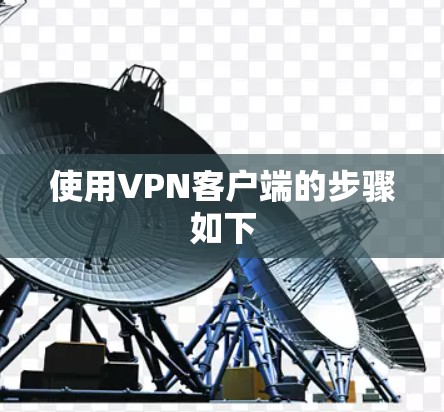 使用VPN客户端的步骤如下 使用VPN客户端的步骤如下