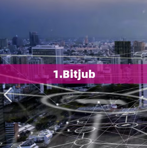 1.Bitjub
