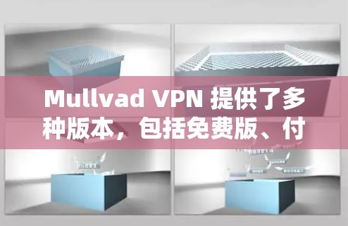Mullvad VPN 提供了多种版本,包括免费版、付费版和专业版,以下是推荐的几种稳定客户端 Mullvad VPN 提供了多种版本,包括免费版、付费版和专业版,以下是推荐的几种稳定客户端