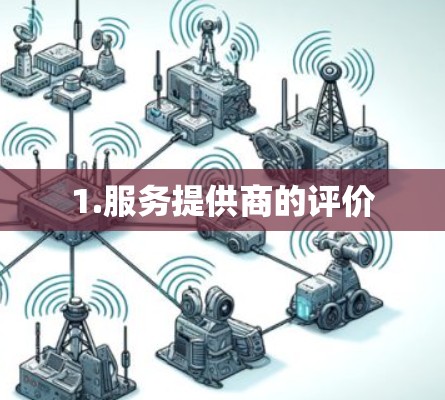 1.服务提供商的评价 1.服务提供商的评价