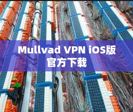 Mullvad VPN iOS版官方下载 Mullvad VPN iOS版官方下载