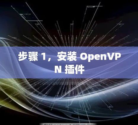 步骤 1，安装 OpenVPN 插件