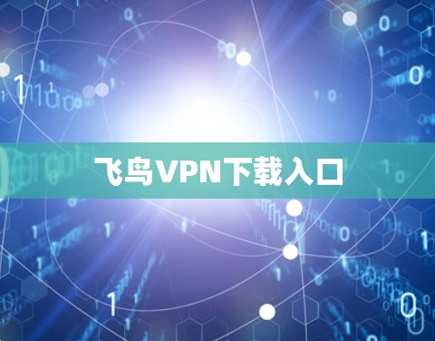 飞鸟VPN下载入口