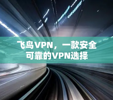 飞鸟VPN,一款安全可靠的VPN选择 飞鸟VPN,一款安全可靠的VPN选择