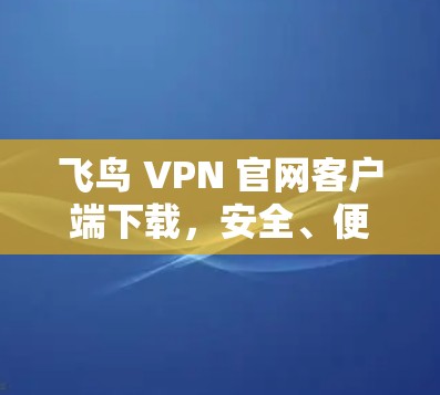 飞鸟 VPN 官网客户端下载,安全、便捷、轻松的VPN选择 飞鸟 VPN 官网客户端下载,安全、便捷、轻松的VPN选择