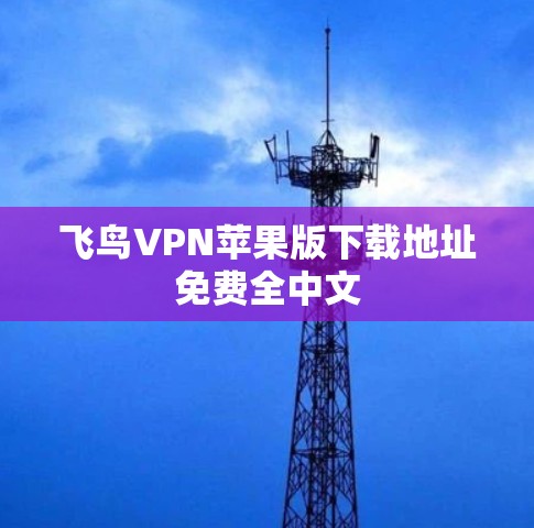 飞鸟VPN苹果版下载地址免费全中文 飞鸟VPN苹果版下载地址免费全中文