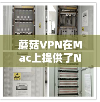 蘑菇VPN在Mac上提供了NAT版和WAN版,分别针对国内用户和国际用户。以下是它们的特点总结 蘑菇VPN在Mac上提供了NAT版和WAN版,分别针对国内用户和国际用户。以下是它们的特点总结