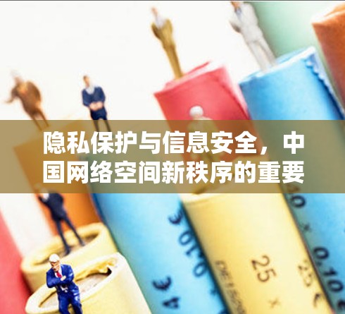 隐私保护与信息安全,中国网络空间新秩序的重要构建 隐私保护与信息安全,中国网络空间新秩序的重要构建