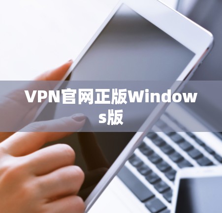VPN官网正版Windows版 VPN官网正版Windows版