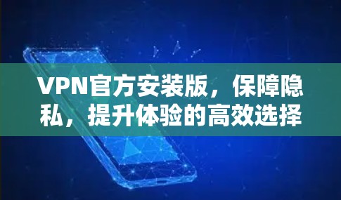 VPN官方安装版，保障隐私，提升体验的高效选择