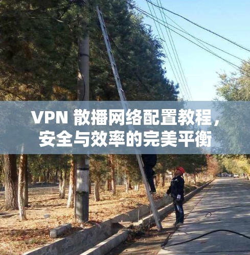 VPN 散播网络配置教程,安全与效率的完美平衡 VPN 散播网络配置教程,安全与效率的完美平衡