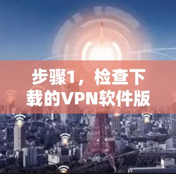 步骤1,检查下载的VPN软件版本