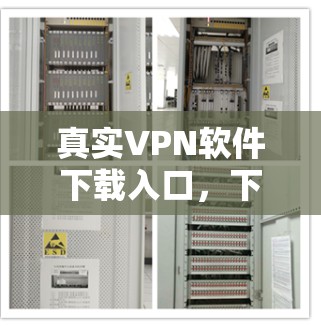 真实VPN软件下载入口,下载速度快,操作简单,保障你的网络安全! 真实VPN软件下载入口,下载速度快,操作简单,保障你的网络安全!